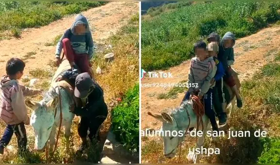 “Recogiendo pasajeros, profe”: niños llegan a su escuela montados en burro en Huánuco