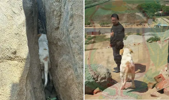 Rescatan perrita que quedó atrapada en medio de un peñasco en Trujillo