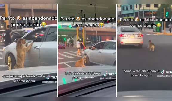 Perro es abandonado por su dueño en medio de la pista y usuarios se indignan: “¡Qué dolor!”