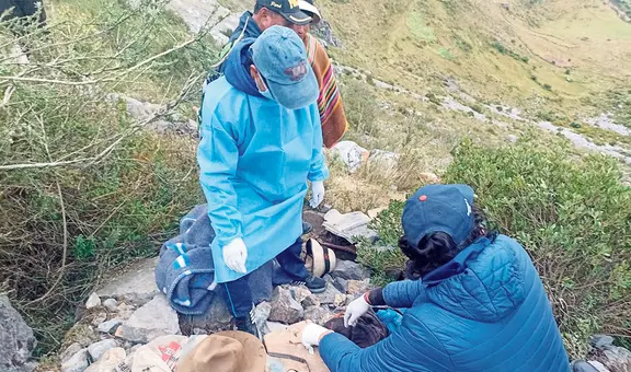 Tragedia en Apurímac: camión cae a abismo y deja nueve muertos