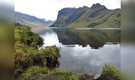 Lagunas Las Huaringas de Piura podrían convertirse en área de conservación de especies en peligro de extinción