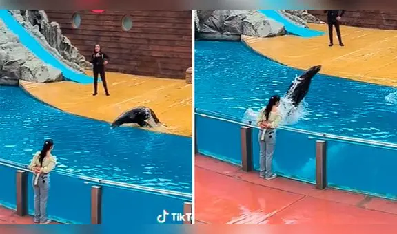 Lobo marino se niega a saludar con un beso a una participante durante su show: “La dejó ilusionada”