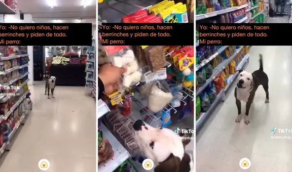 Perrito ladra a su dueño para que le compre su juguete favorito: "Es un hijo más"