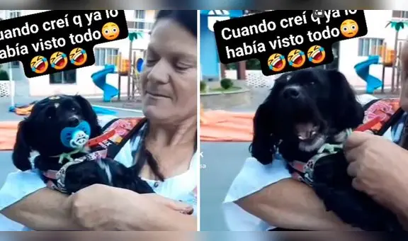 Perrito llora cuando su ama le saca el chupón de la boca y enternece en redes sociales :”Morí de amor”