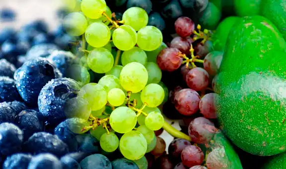 Arándanos, uvas y paltas peruanas llegan a más de 90 países del mundo