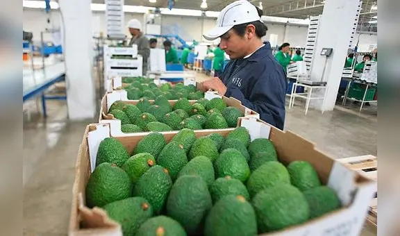 Mincetur lanza tercera convocatoria del Programa de Apoyo a la Internacionalización a emprendedores