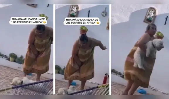 Madre sorprende al 'regañar' a su perrito por no querer comer: "Esa la aplico yo también"