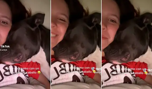 Joven graba a su perrito haciendo sonidos de un caballo: "Muero de amor"