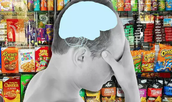¿Cuáles son los alimentos que pueden dañar nuestra memoria, según Harvard?