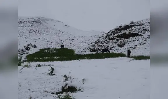Nevada en Cusco: alerta roja en las 13 provincias por precipitaciones de nieve y lluvias