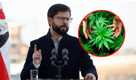 Gabriel Boric respalda a quienes cultivan el cannabis para uso medicinal: "No son delincuentes"