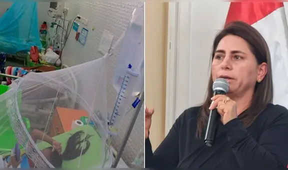 Minsa: declaran emergencia 20 regiones del Perú por casos de dengue