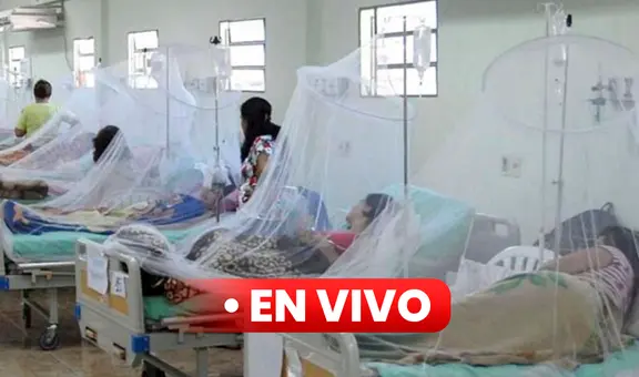 Dengue en Perú EN VIVO: personas entre 30 y 59 años son los más afectados, según Minsa