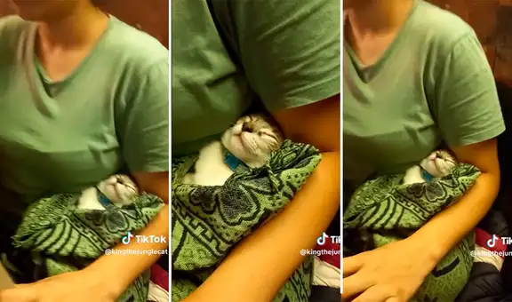 Joven sale de fiesta y se lleva a su gatito: "A cargar con la bendición"