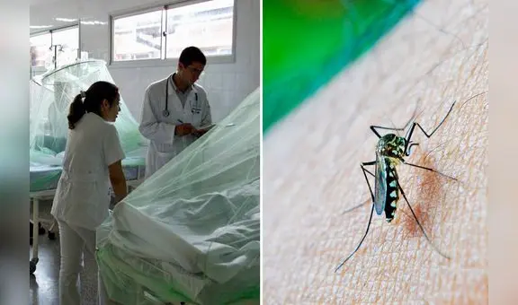 Dengue en Perú: reportan la cuarta persona fallecida en La Libertad
