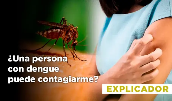 Dengue en Perú: ¿una persona con esta enfermedad puede contagiarme?
