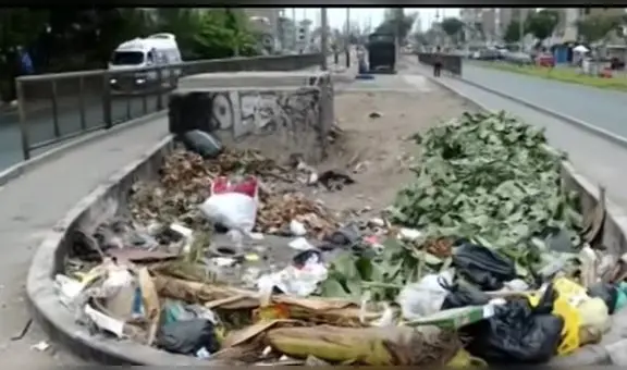 SMP: vecinos denuncian que ciclovía de la avenida Tomás Valle luce abandonada y llena de basura