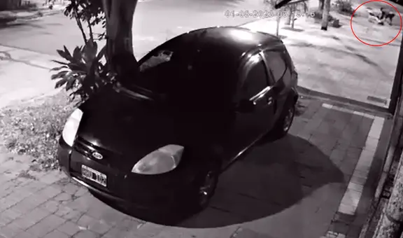 Ladrón pierde su celular en pleno asalto y llama a su víctima para que se lo devuelvan