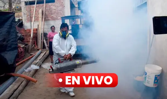 Dengue en Perú EN VIVO: ¿cuáles son las regiones con más contagios, según el Minsa?