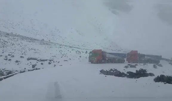 Nevadas en Arequipa: intenso frío causa pérdidas de ganado y cultivos en Caylloma