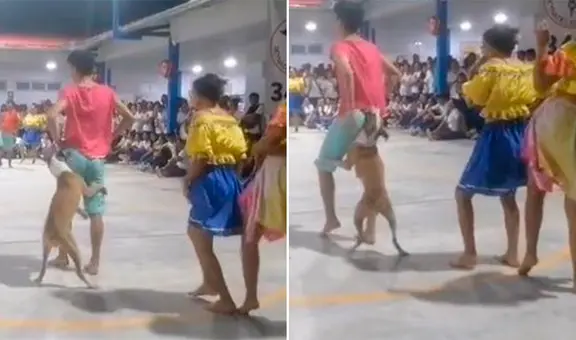 Perrito interrumpe danza de jóvenes y es viral en redes: "Todo el show para Firulais"