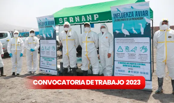 ¿Tienes primaria completa? Sernanp ofrece trabajos con sueldos de hasta S/7.500: cómo postular