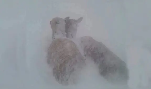 Senamhi advierte descenso de temperaturas acompañadas de heladas en zonas altas de Arequipa