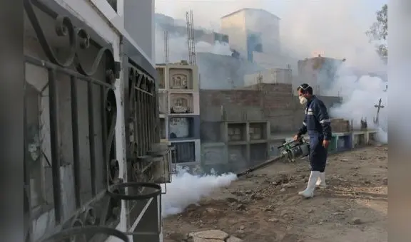 Dengue en Perú: 79 fallecidos y más de 35.000 casos confirmados