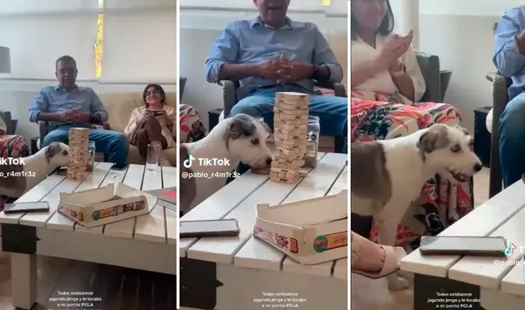 Perrita sorprende con su talento para jugar jenga con su familia: "Es una experta"
