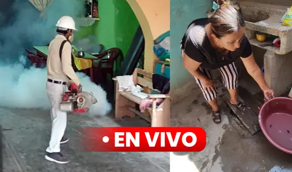 Dengue en Perú EN VIVO: últimas noticias, número de casos, fallecidos y más sobre alerta sanitaria