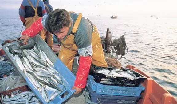 Autógrafa que prioriza la pesca artesanal en las 5 millas será promulgada