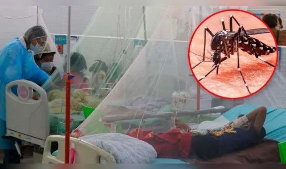 Faltan médicos para atender los casos de dengue en Piura y La Libertad