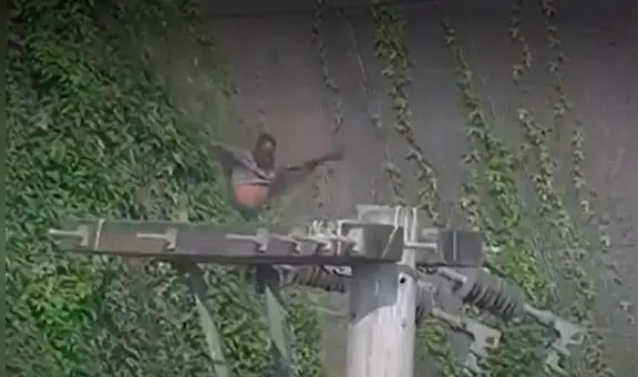 Barranco: delincuente se deslizó por acantilado de la Costa Verde para evitar ser intervenido