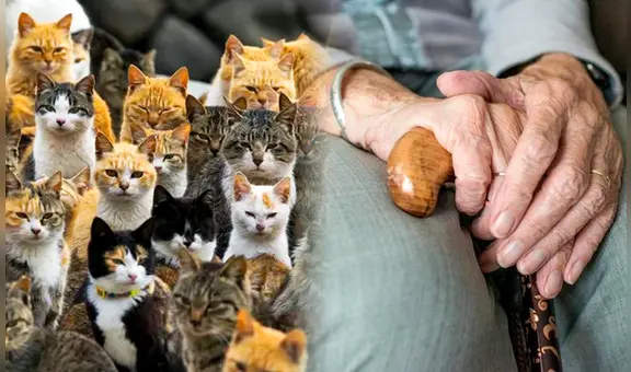 El caso de Clara Tobón: la mujer que murió en soledad y fue devorada por sus gatos