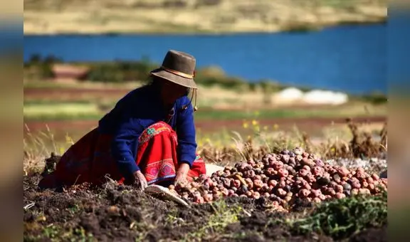 Midagri aprueba financiamiento para el comercio de productos agrícolas con créditos de hasta S/40.000