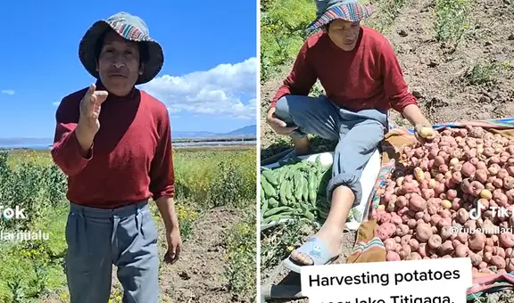 Agricultor aimara sorprende con su excelente dominio del inglés: "Otro nivel"