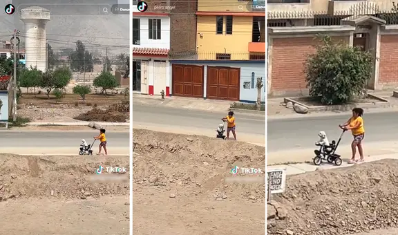 Mujer enternece al sacar a pasear a su perrito en coche: “Para que no se quemen sus patitas”