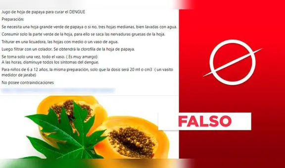 El dengue no se cura con el consumo de hojas de papaya