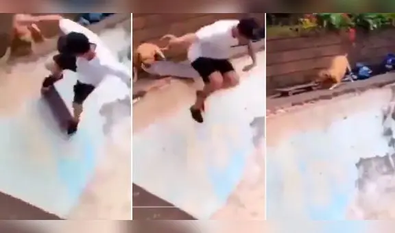 Perrito quita patineta a joven que practicaba skateboarding y causa risas en TikTok: “Buena, Firulais”