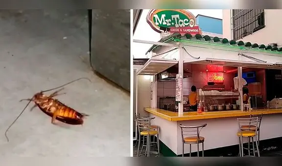 Pueblo Libre: clasuran sanguchería Mr. Taco por encontrar insectos en el local