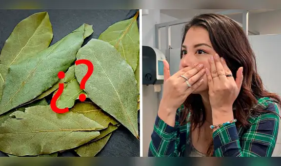 ¿Es mito o verdad que las hojas de laurel ayudan contra las arrugas?