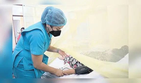 Dengue en el norte bajaría en 15 días, pero demorará en Lima