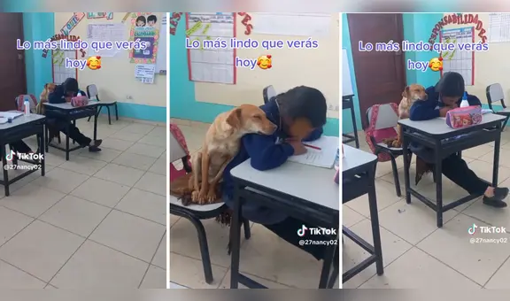 Perrita se acurruca sobre una niña que escribe en su cuaderno durante su clase: “Qué lindos”