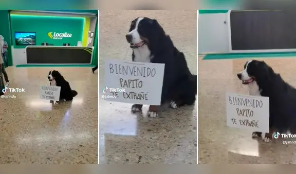 Perrito espera a su dueño en aeropuerto con singular cartel: "Bienvenido, papito, te extrañé"
