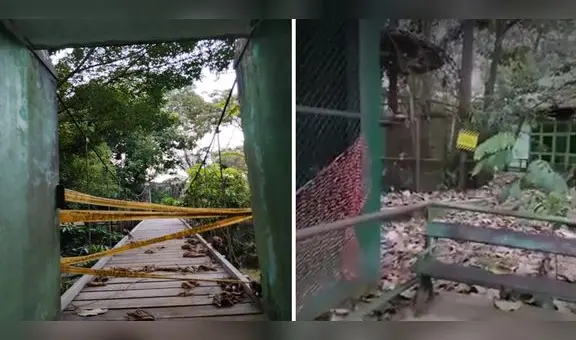 Animales están en abandono en Parque Natural de Ucayali: "Parece un cementerio"