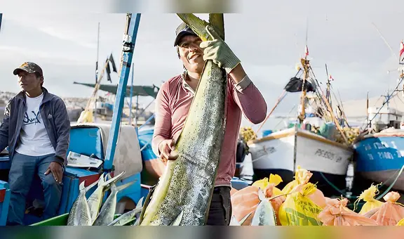 Ante El Niño se reducirá la oferta de pescado para los hogares