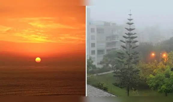 El verano, inverno, otoño y primavera podrían desaparecer por este motivo, advierten expertos