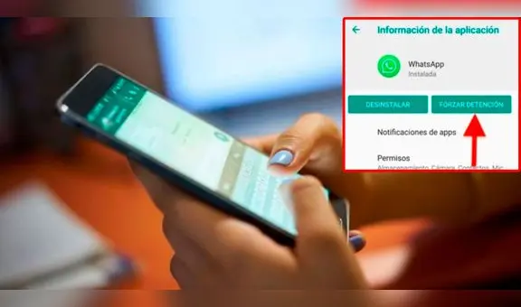 ¿Qué pasa si pulsas el botón 'Forzar detención' en los ajustes de WhatsApp?