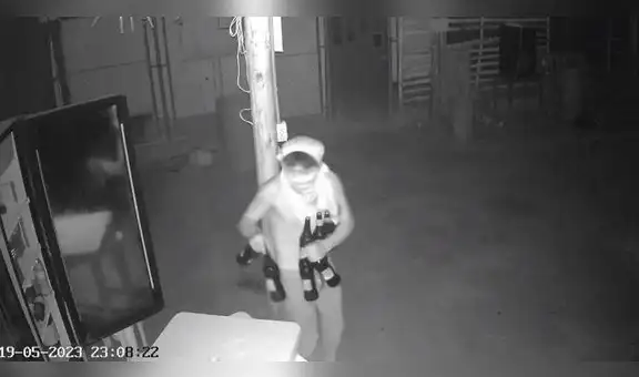 Se llevaron hasta la cerveza: cámaras captan a delincuentes robando en local de Piura