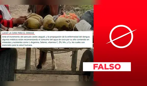 Dengue: el agua de coco no cura la enfermedad